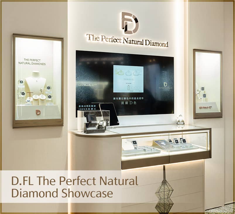 Service 1 PC